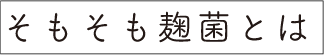 そもそも麹菌とは?